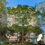 Tòa nhà 14 Láng Hạ - Ảnh 3