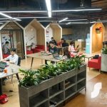 MindX Hoàng Đạo Thúy - Ảnh 4