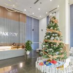 Pax Sky - Ảnh 3