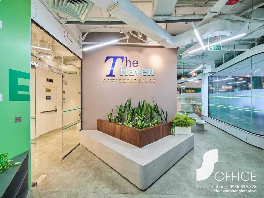 The Haven - Ảnh 2