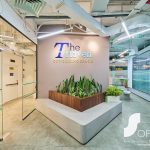 The Haven - Ảnh 2
