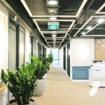 Tiktak Lý Thường Kiệt - Ảnh 2