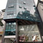 Gems Nguyễn Chánh - Ảnh 2