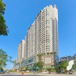 Golden Palm - Ảnh 3