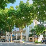 Tòa nhà Thông Tấn Xã - Ảnh 2