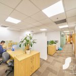 Green Office 3D - Ảnh 7