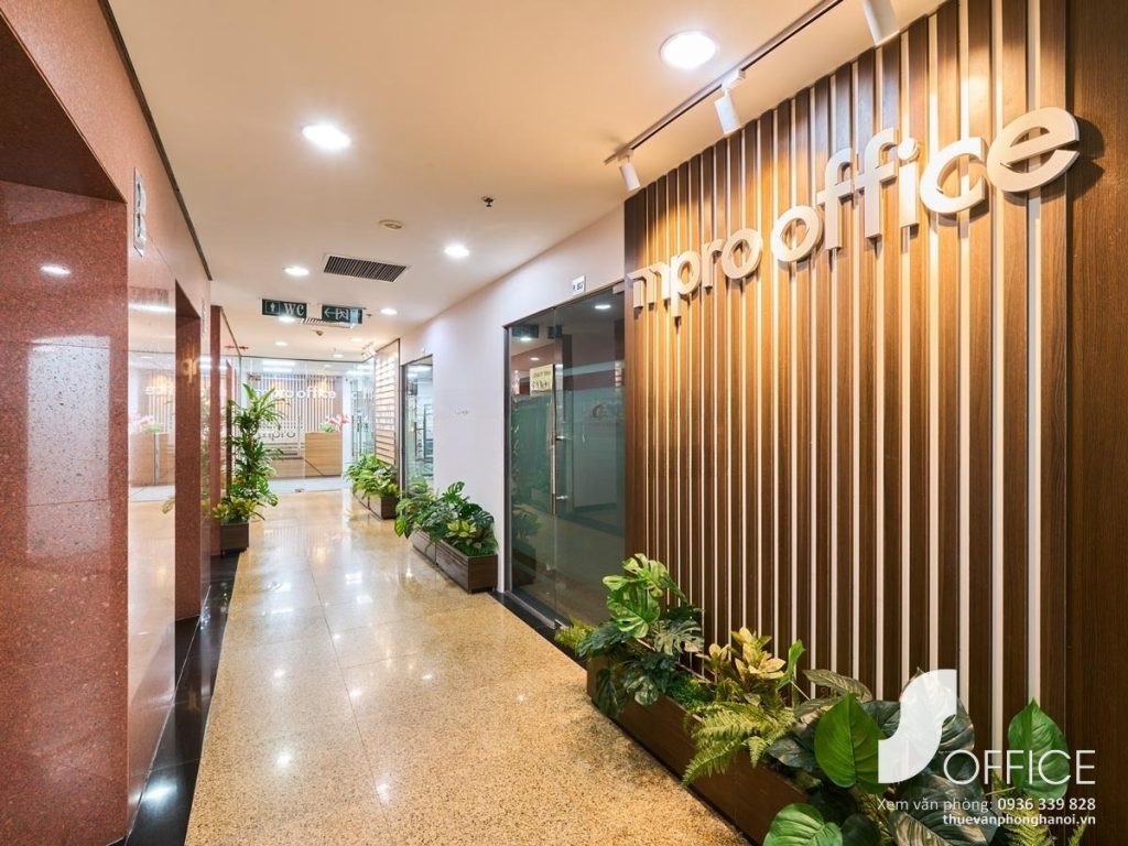 Mpro Phạm Hùng - Ảnh 1