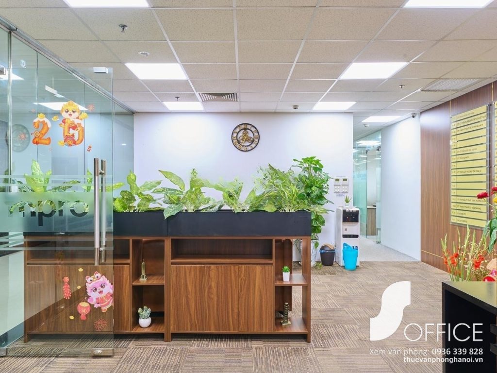 Mpro Nguyễn Phong Sắc - Ảnh 4