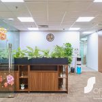 Mpro Nguyễn Phong Sắc - Ảnh 4